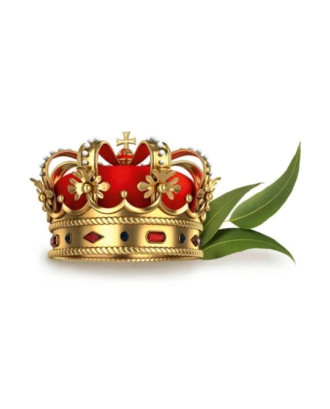 Pirties kvapo koncentratas - Harvia, Royal Eucament, 1 l PIRTIES KVAPAI IR KŪNO PRIEŽIŪRA
